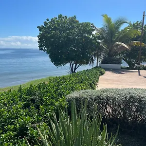 Bayfront & Apartment