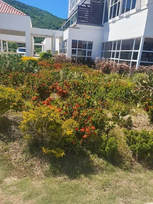 Bayfront Bluedream Luxurious 1Bed, 1Ba Apt Portmore